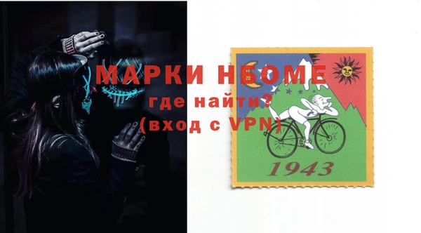 гидра Вяземский