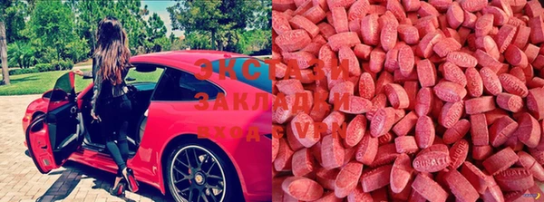 гидра Вяземский