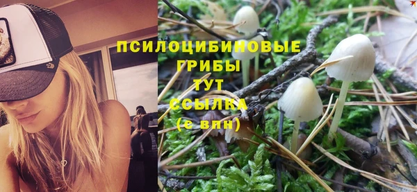 индика Вязники