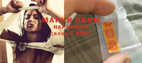 индика Вязники