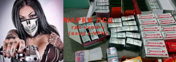 гидра Вяземский