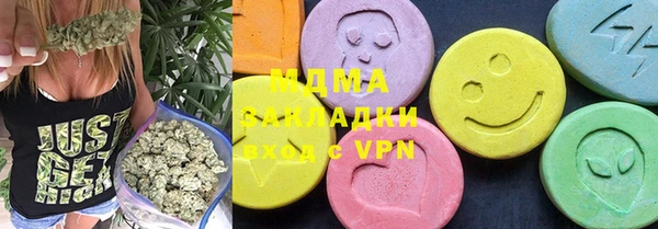 гидра Вяземский
