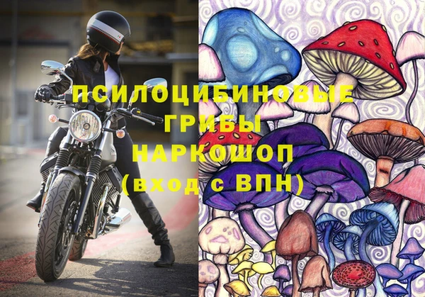 индика Вязники