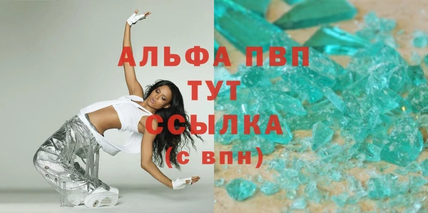 гидра Вяземский