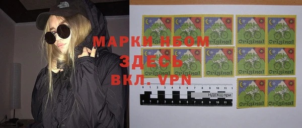 гидра Вяземский