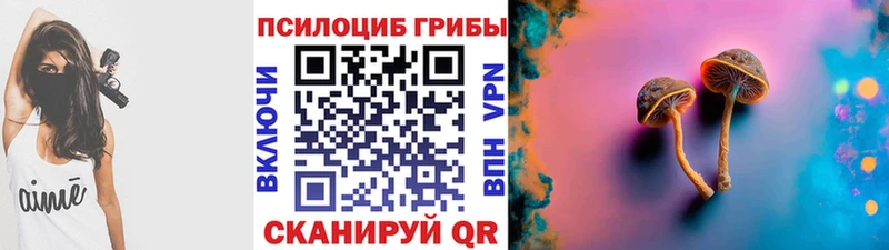 кракен как зайти  Домодедово  Галлюциногенные грибы Magic Shrooms  как найти закладки 